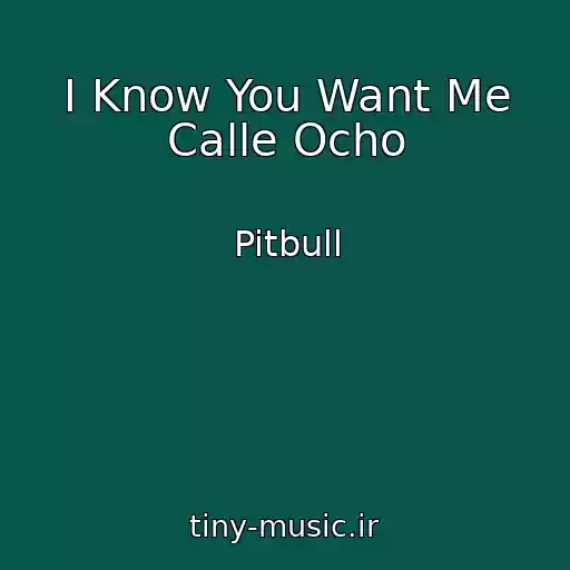 کاور آهنگ I Know You Want Me Calle Ocho از Pitbull