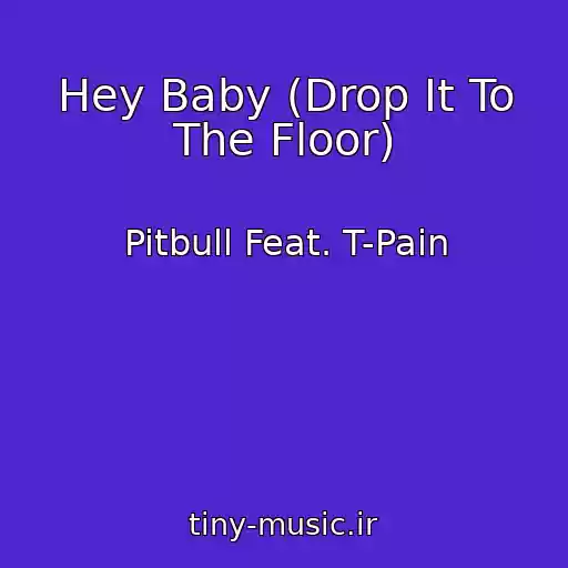 کاور آهنگ Hey Baby (Drop It To The Floor) از Pitbull Feat. T-Pain