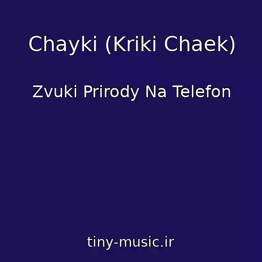 کاور آهنگ Chayki (Kriki Chaek) از Zvuki Prirody Na Telefon