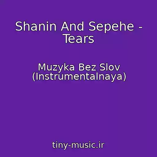 کاور آهنگ Shanin And Sepehe - Tears از Muzyka Bez Slov (Instrumentalnaya)