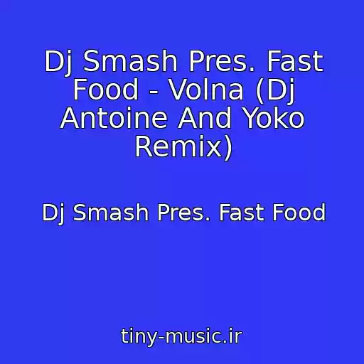 کاور آهنگ Dj Smash Pres. Fast Food - Volna (Dj Antoine And Yoko Remix) از Dj Smash Pres. Fast Food