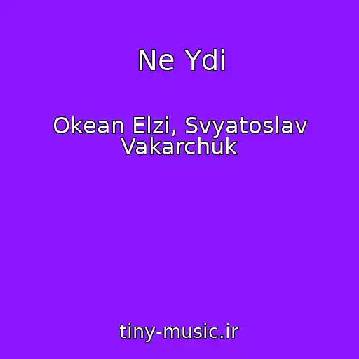 کاور آهنگ Ne Ydi از Okean Elzi, Svyatoslav Vakarchuk