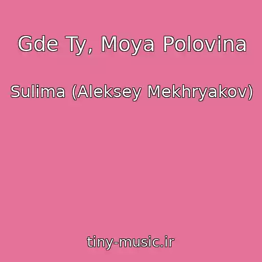 کاور آهنگ Gde Ty, Moya Polovina از Sulima (Aleksey Mekhryakov)