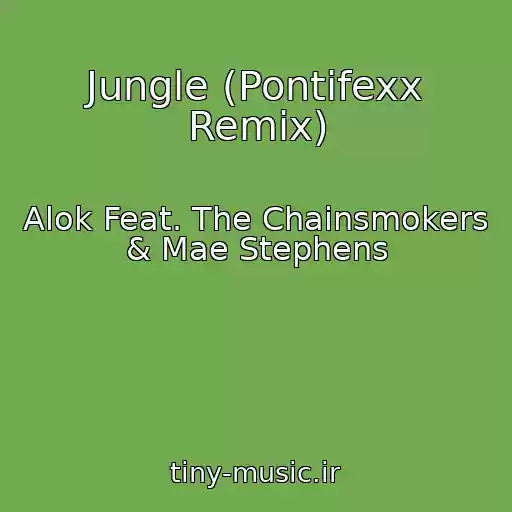 کاور آهنگ Jungle (Pontifexx Remix) از Alok Feat. The Chainsmokers & Mae Stephens