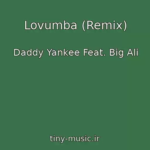 کاور آهنگ Lovumba (Remix) از Daddy Yankee Feat. Big Ali