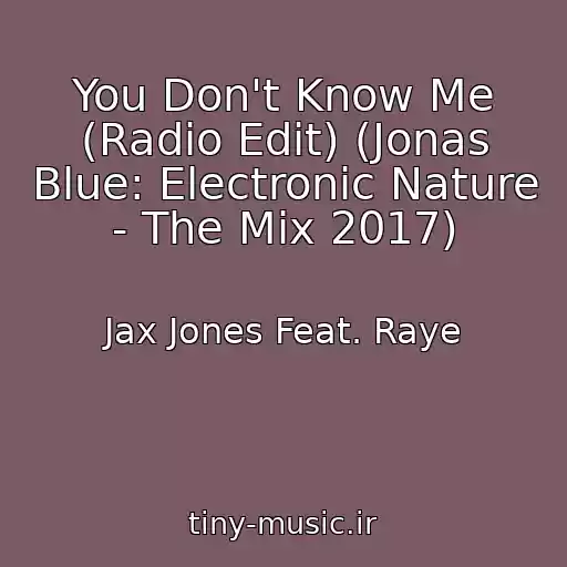 کاور آهنگ You Don't Know Me (Radio Edit) (Jonas Blue: Electronic Nature - The Mix 2017) از Jax Jones Feat. Raye