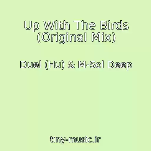 کاور آهنگ Up With The Birds (Original Mix) از Duel (Hu) & M-Sol Deep