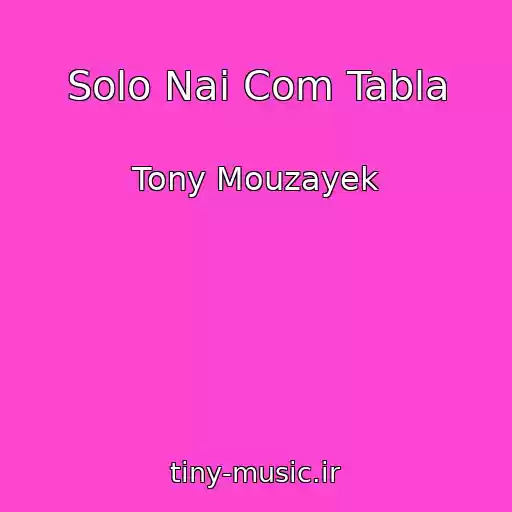 کاور آهنگ Solo Nai Com Tabla از Tony Mouzayek