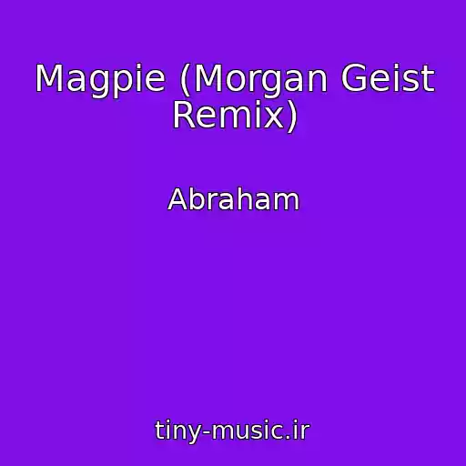 کاور آهنگ Magpie (Morgan Geist Remix) از Abraham