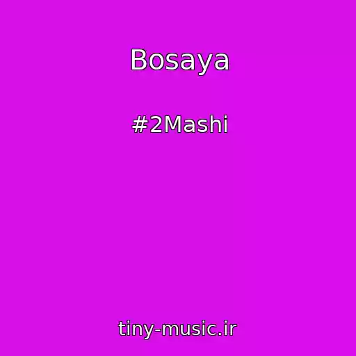 کاور آهنگ Bosaya از #2Mashi