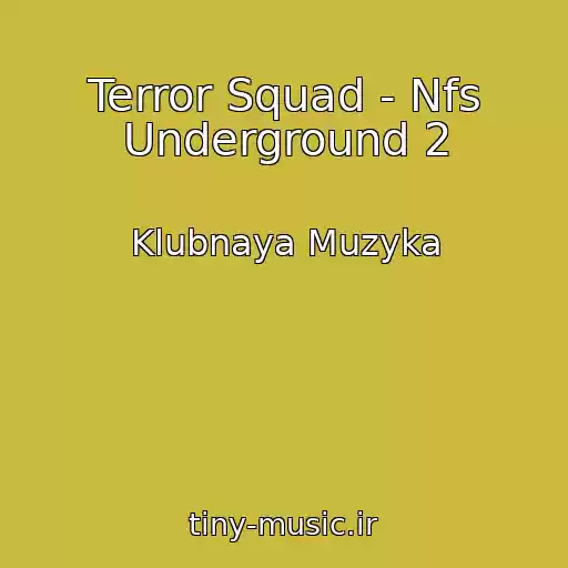 کاور آهنگ Terror Squad - Nfs Underground 2 از Klubnaya Muzyka