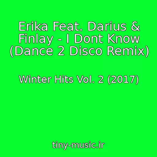 کاور آهنگ Erika Feat. Darius & Finlay - I Dont Know (Dance 2 Disco Remix) از Winter Hits Vol. 2 (2017)
