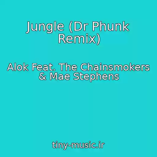کاور آهنگ Jungle (Dr Phunk Remix) از Alok Feat. The Chainsmokers & Mae Stephens