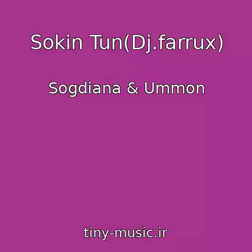 کاور آهنگ Sokin Tun(Dj.farrux) از Sogdiana & Ummon