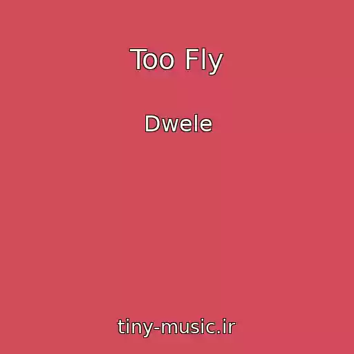 کاور آهنگ Too Fly از Dwele