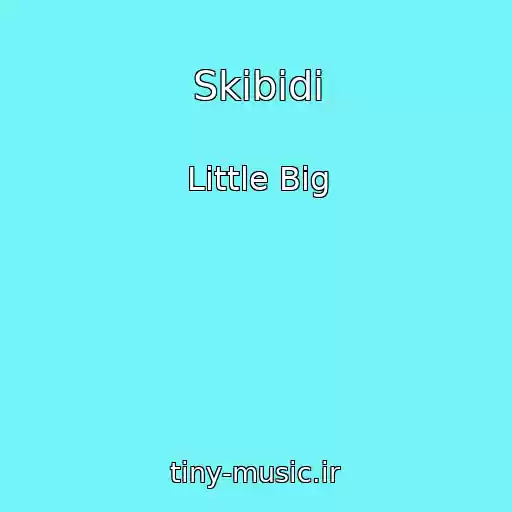 کاور آهنگ Skibidi از Little Big