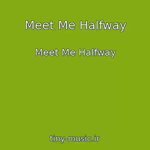 کاور آهنگ Meet Me Halfway از Meet Me Halfway