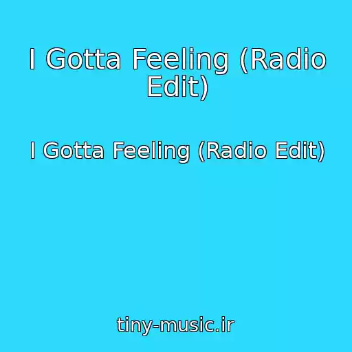 کاور آهنگ I Gotta Feeling (Radio Edit) از I Gotta Feeling (Radio Edit)