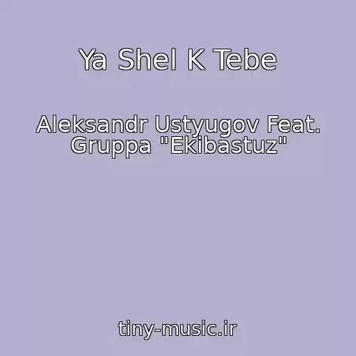 کاور آهنگ Ya Shel K Tebe از Aleksandr Ustyugov Feat. Gruppa "Ekibastuz"