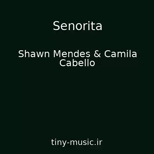 کاور آهنگ Senorita از Shawn Mendes & Camila Cabello