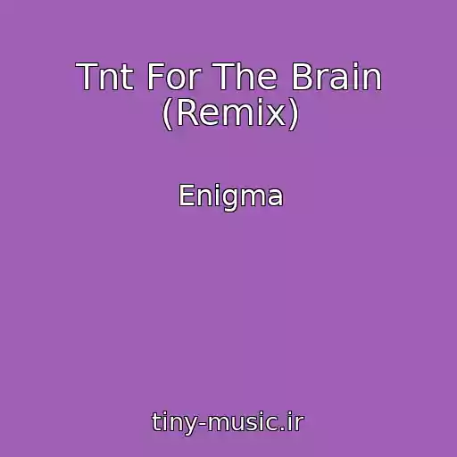 کاور آهنگ Tnt For The Brain (Remix) از Enigma