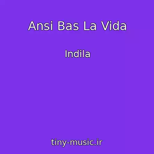 کاور آهنگ Ansi Bas La Vida از Indila