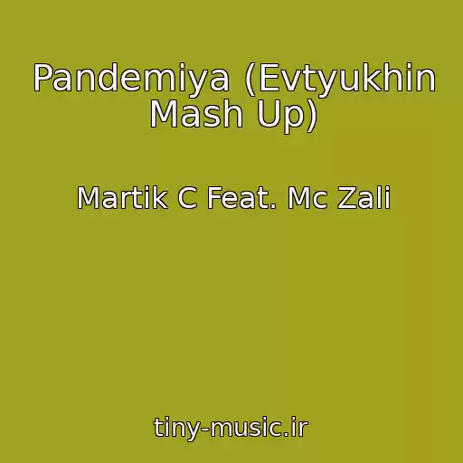 کاور آهنگ Pandemiya (Evtyukhin Mash Up) از Martik C Feat. Mc Zali