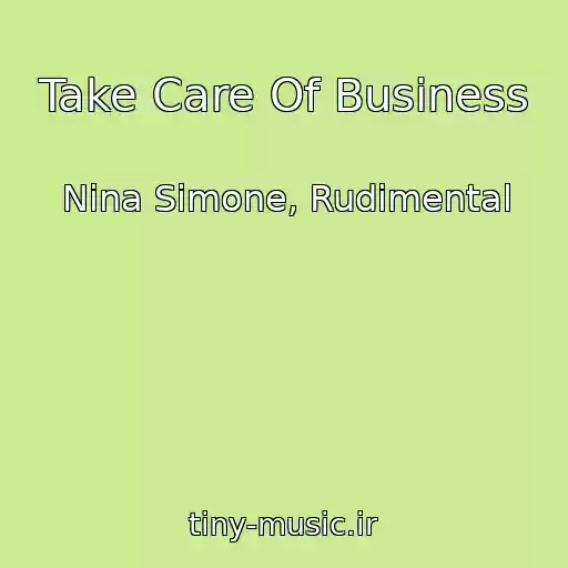 کاور آهنگ Take Care Of Business از Nina Simone, Rudimental