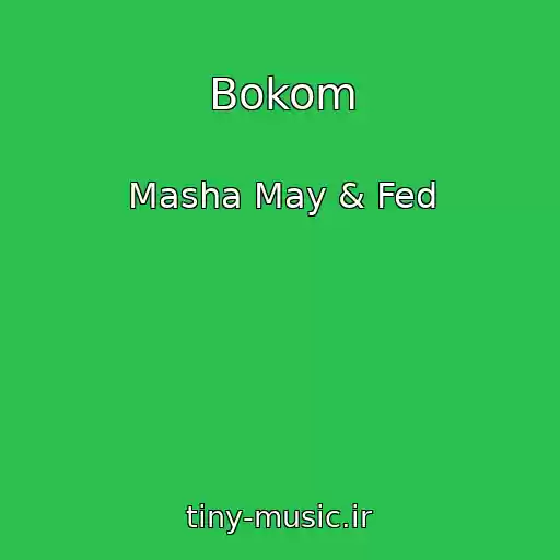 کاور آهنگ Bokom از Masha May & Fed