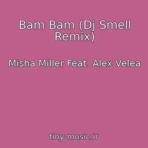 کاور آهنگ Bam Bam (Dj Smell Remix) از Misha Miller Feat. Alex Velea
