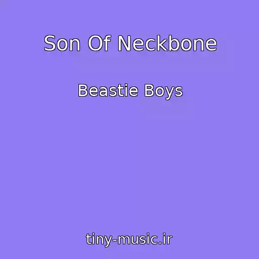کاور آهنگ Son Of Neckbone از Beastie Boys