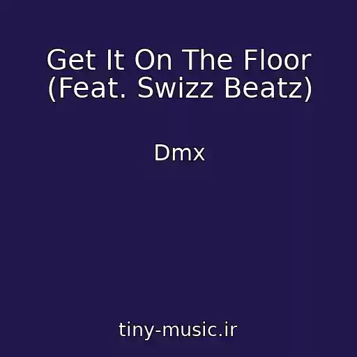 کاور آهنگ Get It On The Floor (Feat. Swizz Beatz) از Dmx