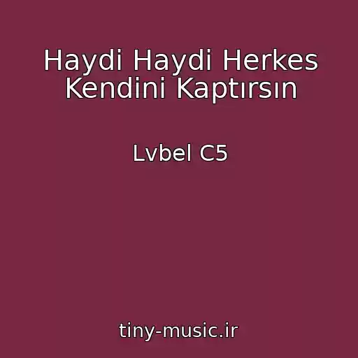 کاور آهنگ Haydi Haydi Herkes Kendini Kaptırsın از Lvbel C5