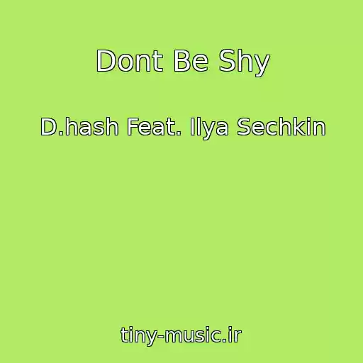 کاور آهنگ Dont Be Shy از D.hash Feat. Ilya Sechkin