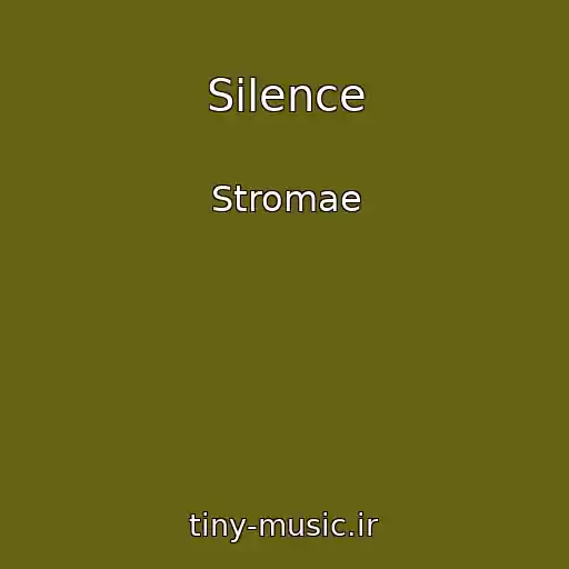 کاور آهنگ Silence از Stromae
