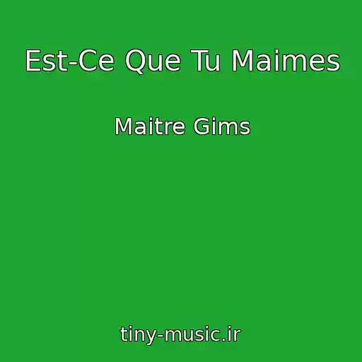 کاور آهنگ Est-Ce Que Tu Maimes از Maitre Gims