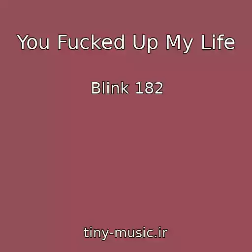 کاور آهنگ You Fucked Up My Life از Blink 182