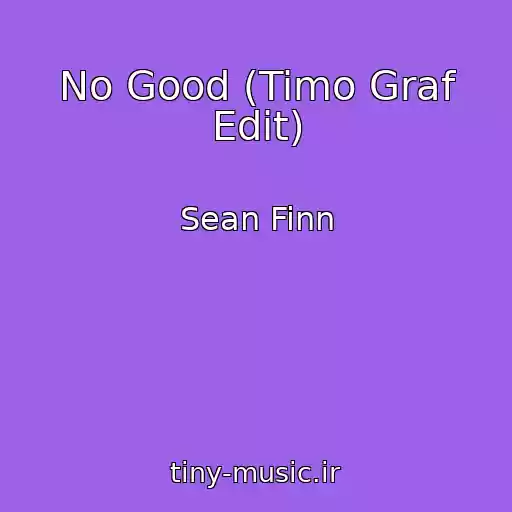 کاور آهنگ No Good (Timo Graf Edit) از Sean Finn