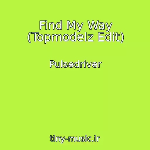کاور آهنگ Find My Way (Topmodelz Edit) از Pulsedriver