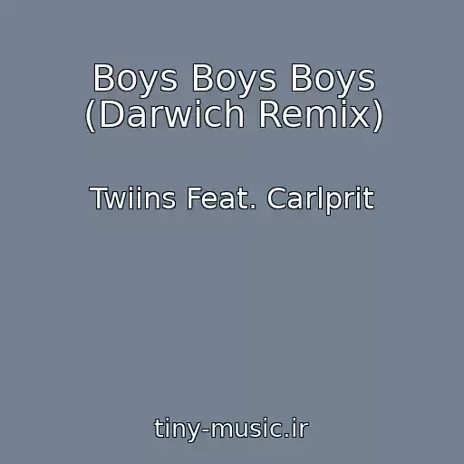 کاور آهنگ Boys Boys Boys (Darwich Remix) از Twiins Feat. Carlprit
