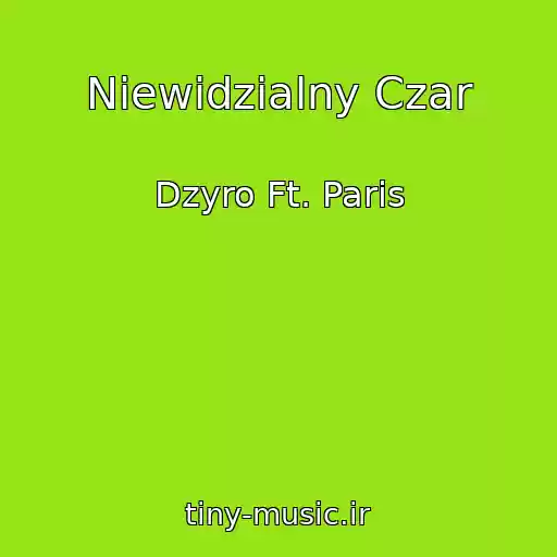 کاور آهنگ Niewidzialny Czar از Dzyro Ft. Paris