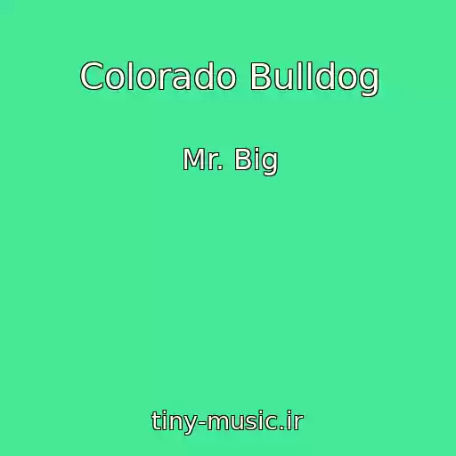 کاور آهنگ Colorado Bulldog از Mr. Big