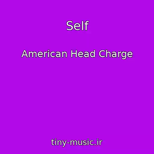 کاور آهنگ Self از American Head Charge
