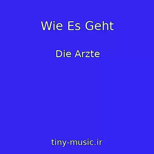 کاور آهنگ Wie Es Geht از Die Arzte