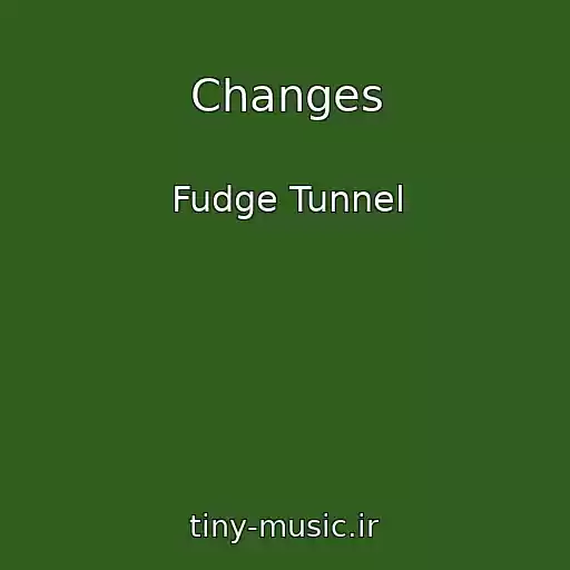 کاور آهنگ Changes از Fudge Tunnel