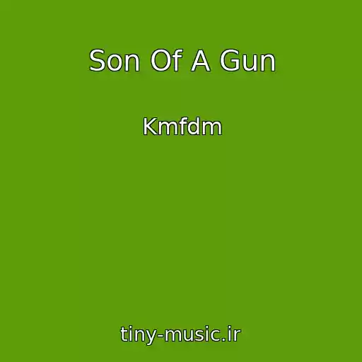 کاور آهنگ Son Of A Gun از Kmfdm