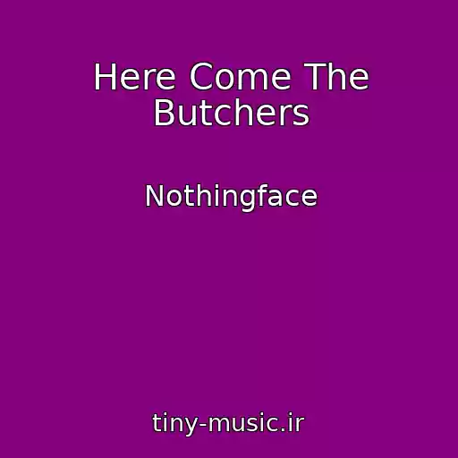 کاور آهنگ Here Come The Butchers از Nothingface