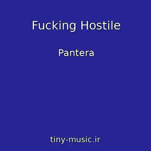 کاور آهنگ Fucking Hostile از Pantera