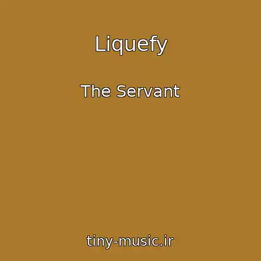 کاور آهنگ Liquefy از The Servant