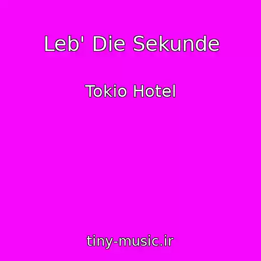 کاور آهنگ Leb' Die Sekunde از Tokio Hotel